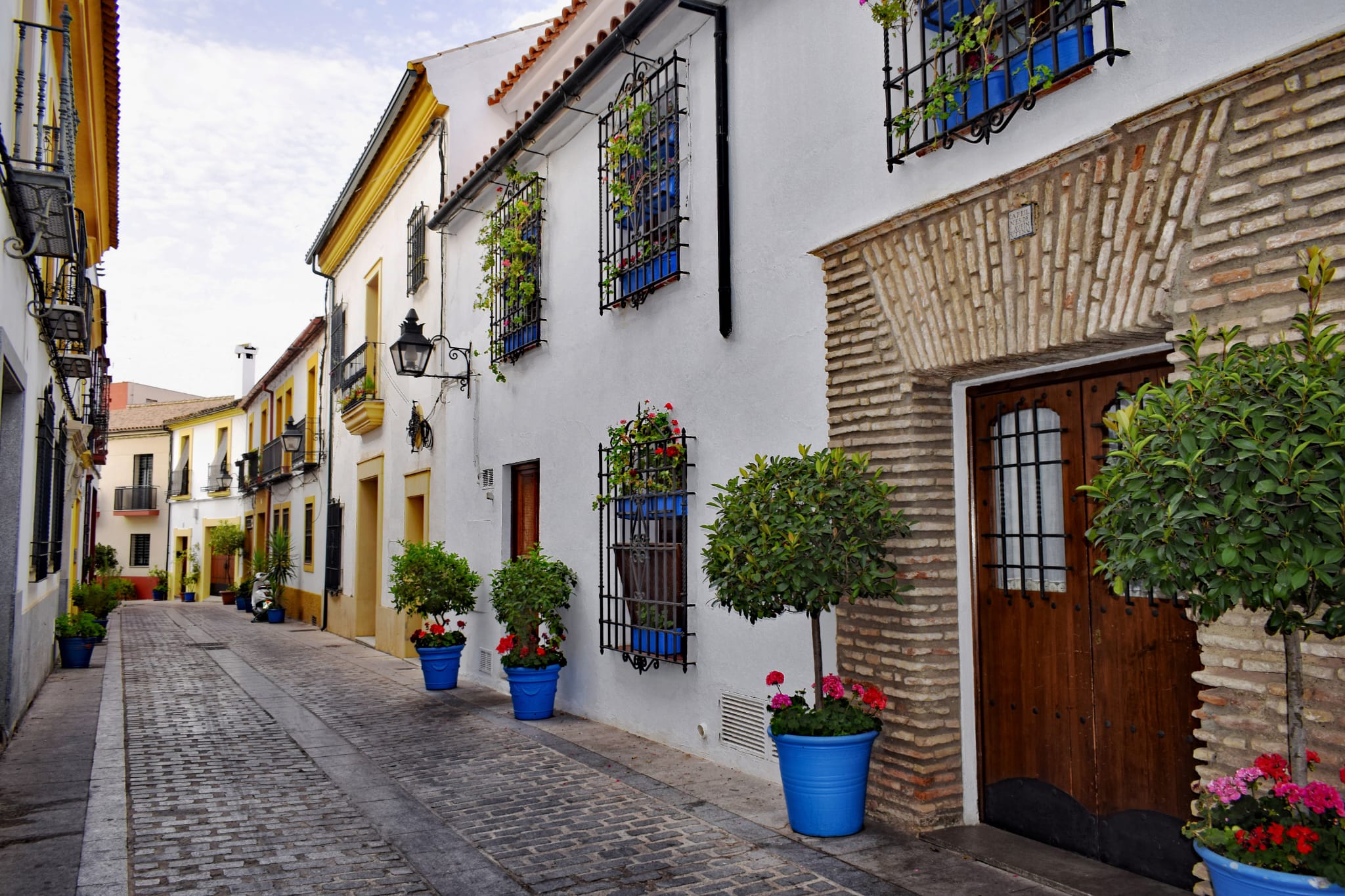 patio en cordoba decorado con plantas