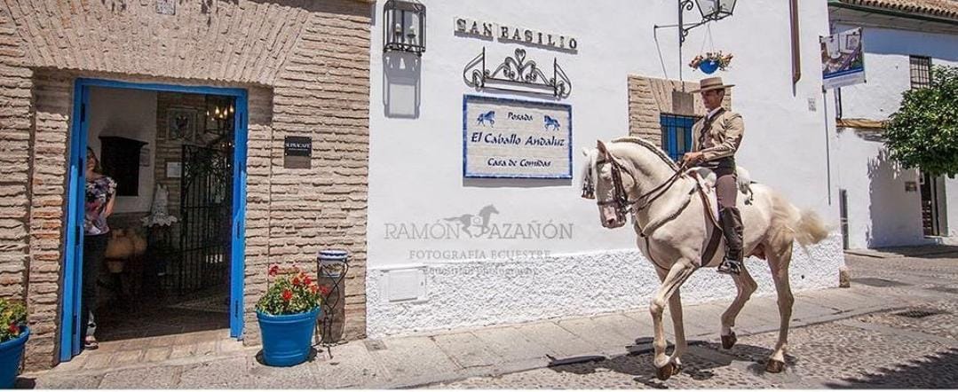 Apartamentos en Los Patios de San Basilio calle con caballo y jinete